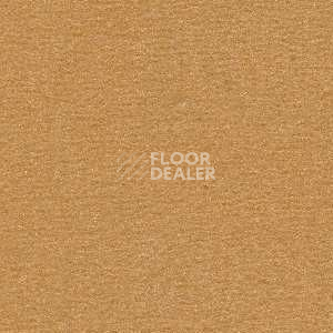 Ковролин Radici Nexus Biondo 8214 фото 1 | FLOORDEALER
